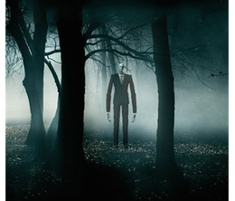 image-https://media.senscritique.com/media/000008880985/0/Slenderman_Damn_Forest.png