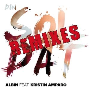 Din soldat (Remixes)