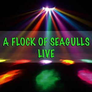 A Flock of Seagulls - Live (Live)