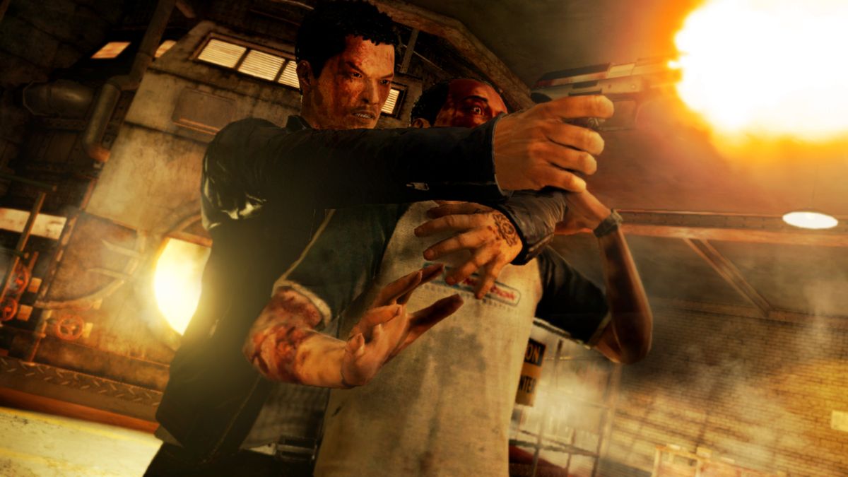 sleeping dogs sleeping dogs