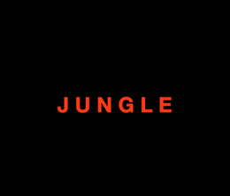 image-https://media.senscritique.com/media/000009044345/0/jungle.png