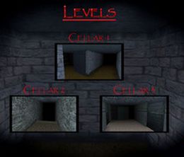 image-https://media.senscritique.com/media/000009049580/0/Slendrina_The_Cellar.jpg