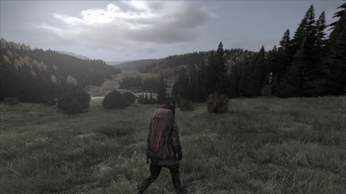 Les beaux paysages dans le jeu vidéo