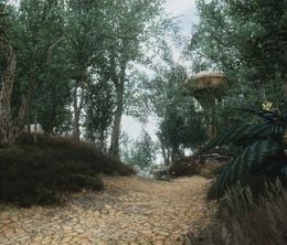 image-https://media.senscritique.com/media/000009058831/0/skywind.jpg