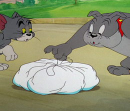 image-https://media.senscritique.com/media/000009065861/0/tom_and_jerry_the_truce_hurts.png