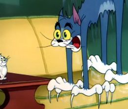 image-https://media.senscritique.com/media/000009065960/0/tom_and_jerry_the_missing_mouse.jpg