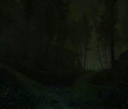 image-https://media.senscritique.com/media/000009078664/0/the_cursed_forest.jpg