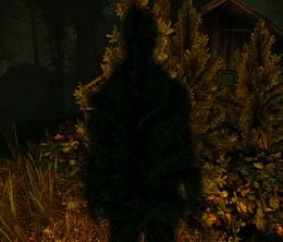 image-https://media.senscritique.com/media/000009078665/0/the_cursed_forest.jpg