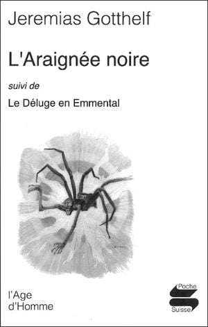 Araignée noire