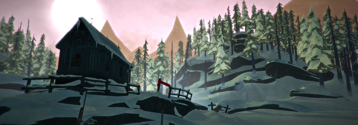 Cover The Long Dark