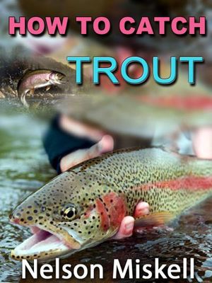 How To Catch Trout