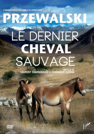 Przewalski, le dernier cheval sauvage