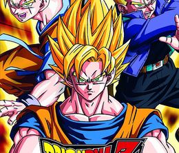 image-https://media.senscritique.com/media/000009148683/0/dragon_ball_z_shin_budokai_2.jpg