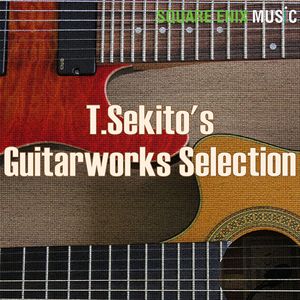 T.Sekito's Guitarworks Selection