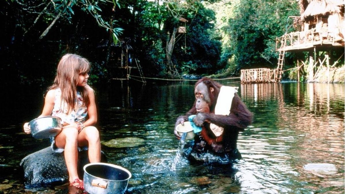 Les Naufragés du Pacifique Téléfilm (1998) SensCritique