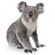 Avatar Last Crokoala Avatar Last Crokoala