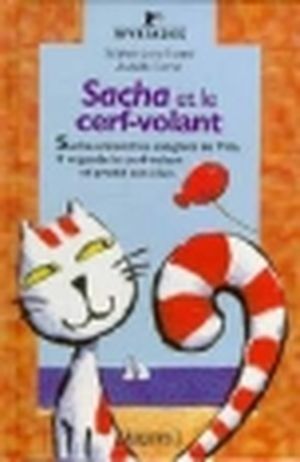 Sacha et le cerf-volant