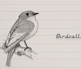 image-https://media.senscritique.com/media/000009187953/0/birdcalls.jpg