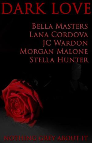 DARK LOVE: Nothing Grey About It Boxed Set