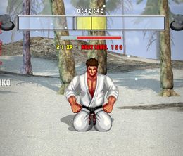 image-https://media.senscritique.com/media/000009252245/0/Karate_Master_2_Knock_Down_Blow.jpg