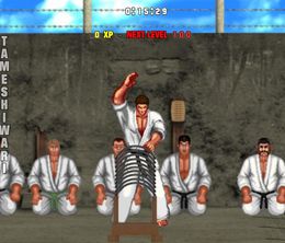image-https://media.senscritique.com/media/000009252247/0/Karate_Master_2_Knock_Down_Blow.jpg