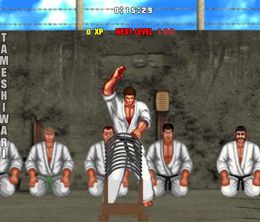 image-https://media.senscritique.com/media/000009252247/0/karate_master_2_knock_down_blow.jpg