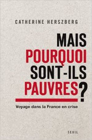 Mais pourquoi sont-ils pauvres ? : Voyage dans la France en crise