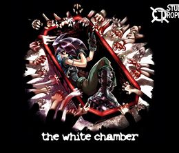 image-https://media.senscritique.com/media/000009282080/0/The_White_Chamber.jpg