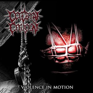 Violence in Motion