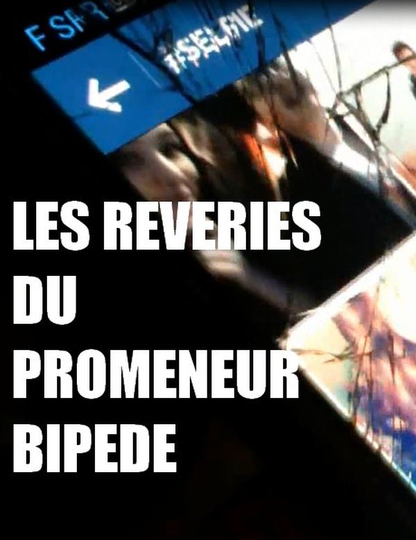 Les Rêveries du promeneur bipède