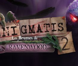 image-https://media.senscritique.com/media/000009366885/0/Enigmatis_2_Les_Brumes_de_Ravenwood.jpg