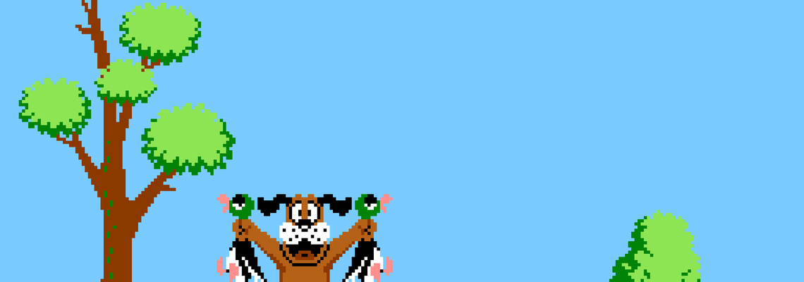 Cover Duck Hunt