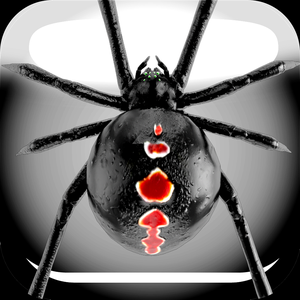 Araignée Farceuse