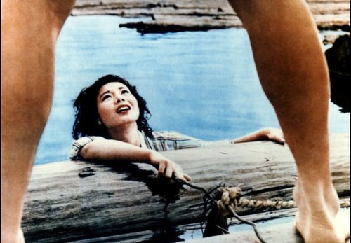 Dossier Cinéma 1960's: La nouvelle vague japonaise et le cinéma japonais des 1960's