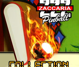 image-https://media.senscritique.com/media/000009401211/0/Zaccaria_Pinball_Master_Edition.png