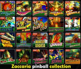 image-https://media.senscritique.com/media/000009401216/0/Zaccaria_Pinball_Master_Edition.jpg