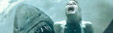 Cover Les meilleurs films avec des requins