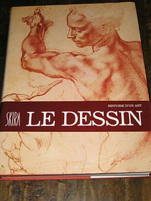 Histoire d'un art - Le dessin