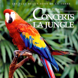 Concerts de la jungle