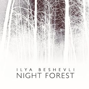 Night Forest