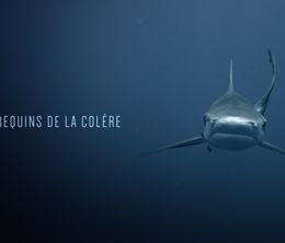 image-https://media.senscritique.com/media/000009443211/0/les_requins_de_la_colere.jpg