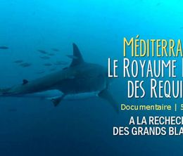 image-https://media.senscritique.com/media/000009476544/0/mediterranee_le_royaume_perdue_des_requins.jpg