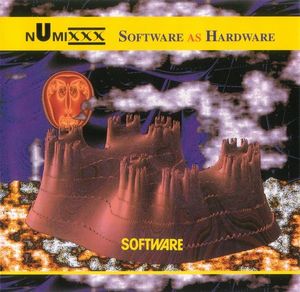 Software as Hardware