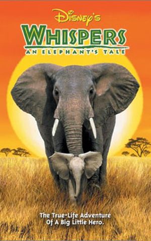 Whispers : Une Histoire d'Eléphant