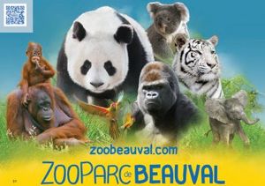 Dans les coulisses du plus grand zoo de France - Le zoo de Beauval