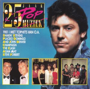 25 Jaar Popmuziek: 1981
