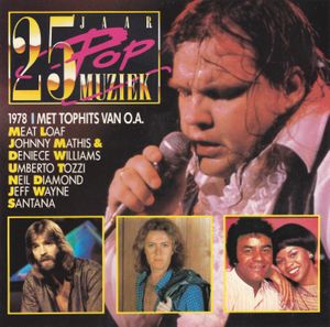 25 Jaar Popmuziek: 1978