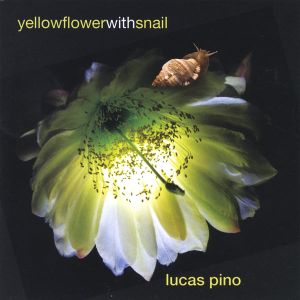 Yellow Flower With Snail