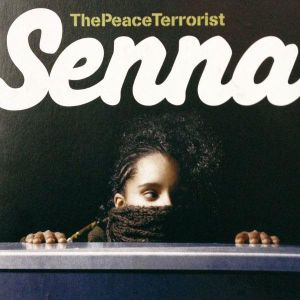 The Peace Terrorist (EP)