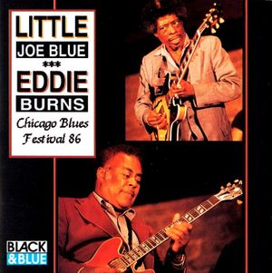 Chicago Blues Festival 86 (Live)